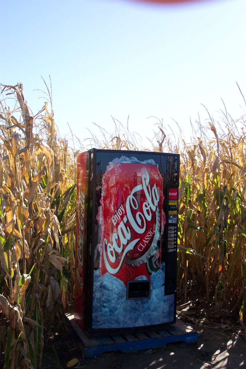 Picture_0420 Picture_0420