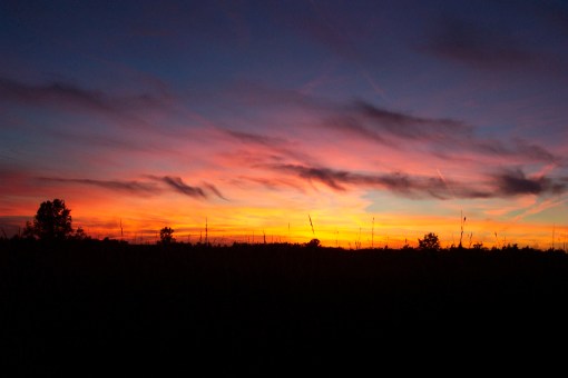 Picture_0428 Picture_0428