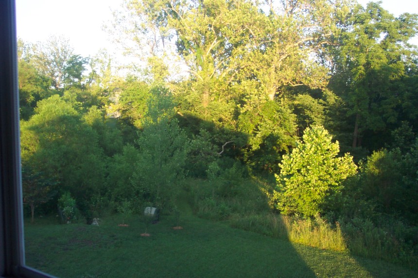 Shadow of house over woods