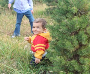 Up close & personal with creation...even if they are shaped and painted (!), as we discovered this year.