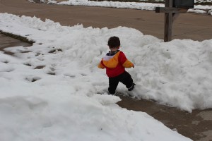 Michael & snow piles