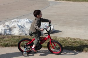Nicholas bike