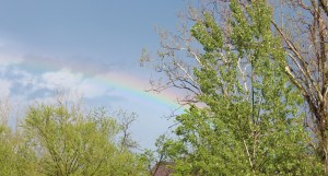 Picnic, playground, Pinnacles 123a