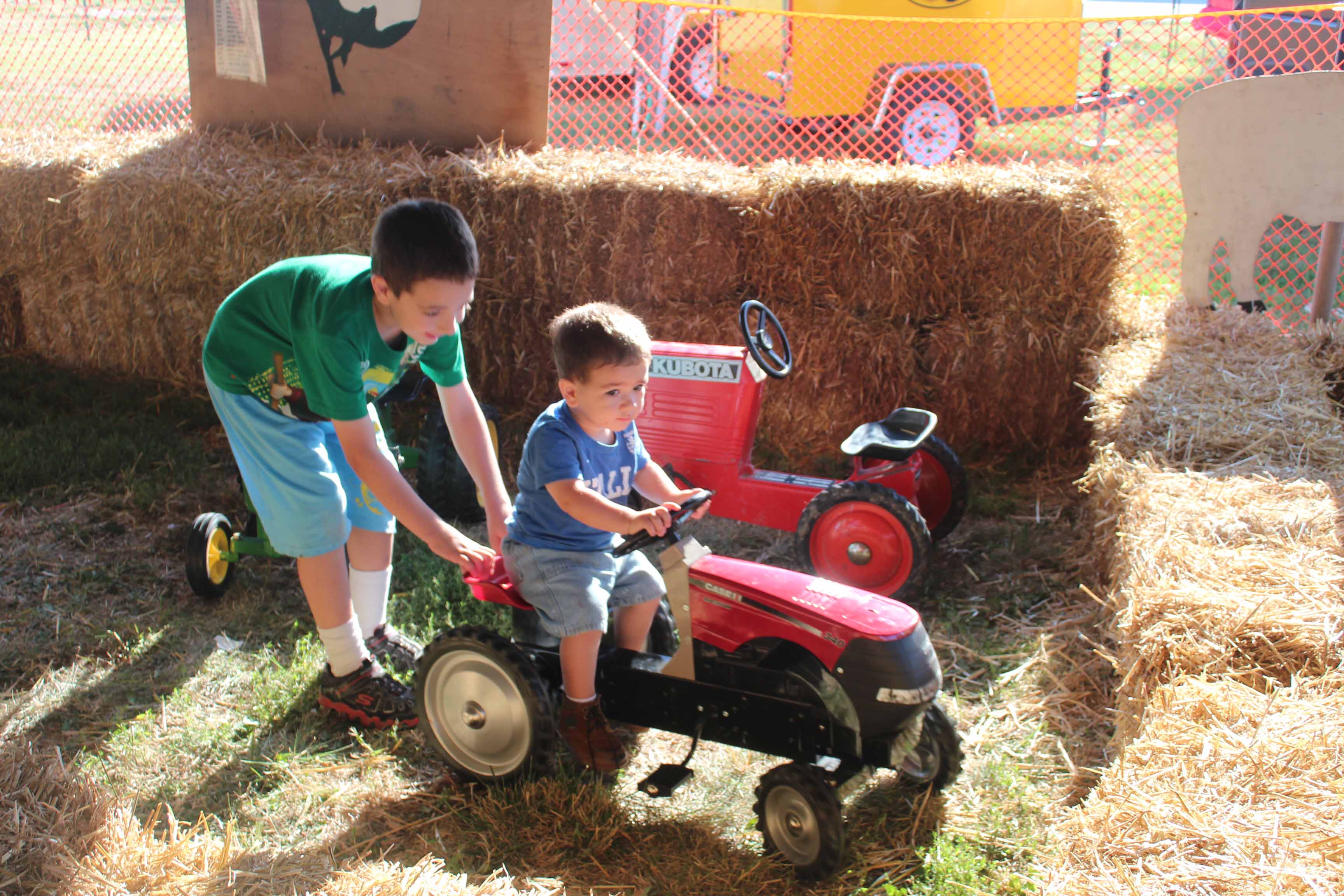 County Fair 003 small