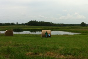 Touching the hay bale