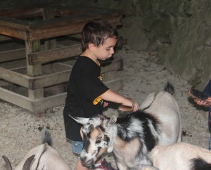 August 2013 118 small