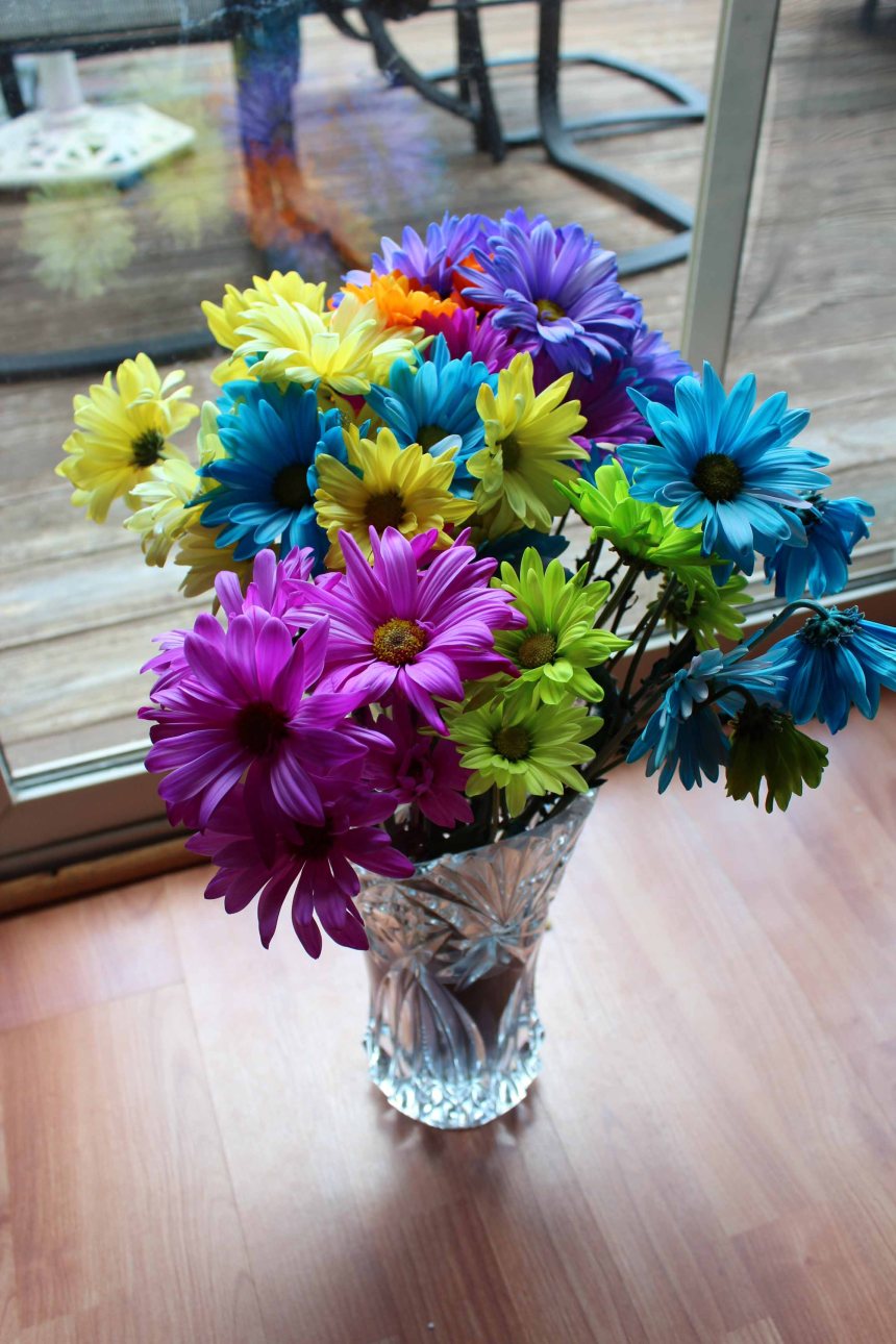 My mother's day flowers. I am such a sucker for bright colors.