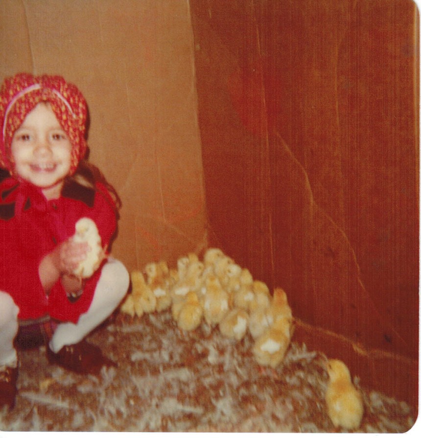 1979 baby chicks