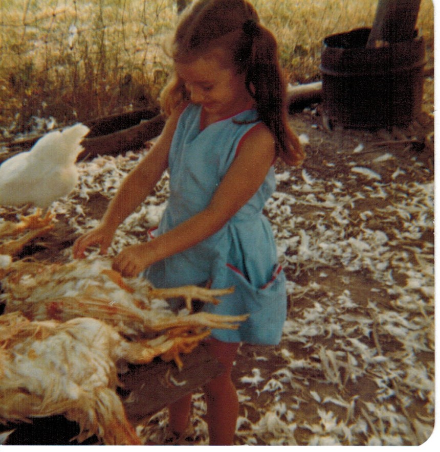 1979 butchering chickens