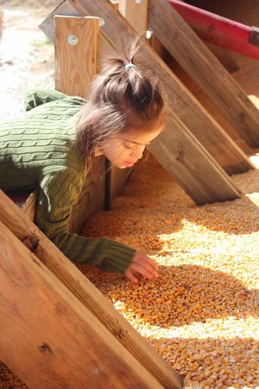 This was eight days ago and she was already sick, it was just low grade.