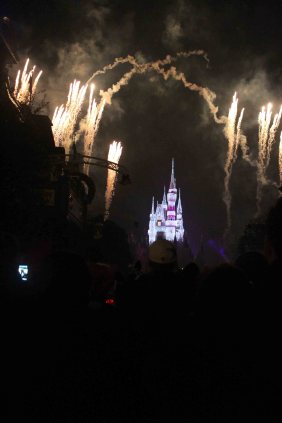 See how far we are from the castle? See those black things blocking the view? They're heads. And there was a solid wall of them taking up the entire space between us and the castle. This is what a "slow" week looks like at Disney World.