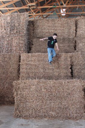 Jumping Off Bale