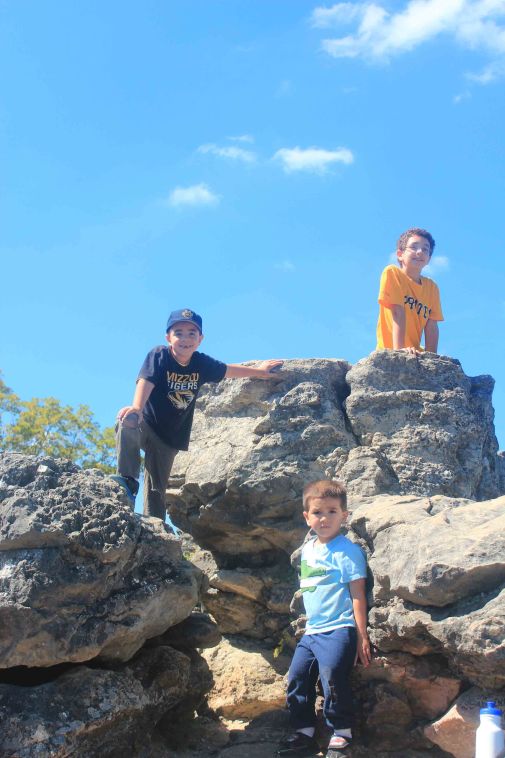 Give them rocks to climb and they won't fight. Oh wait. They had that fight over the walking stick, didn't they? Never mind...