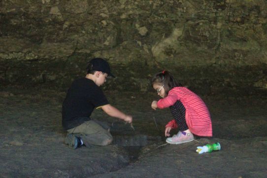 But if they work together to try to, say, dig a trench from the wall seepage to the creek, you might just get forty-five minutes of peace and quiet.