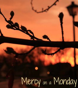 Mercy Monday small