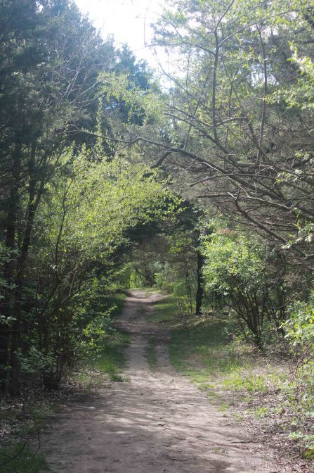 Gans Creek blog 1 (orig. 136)