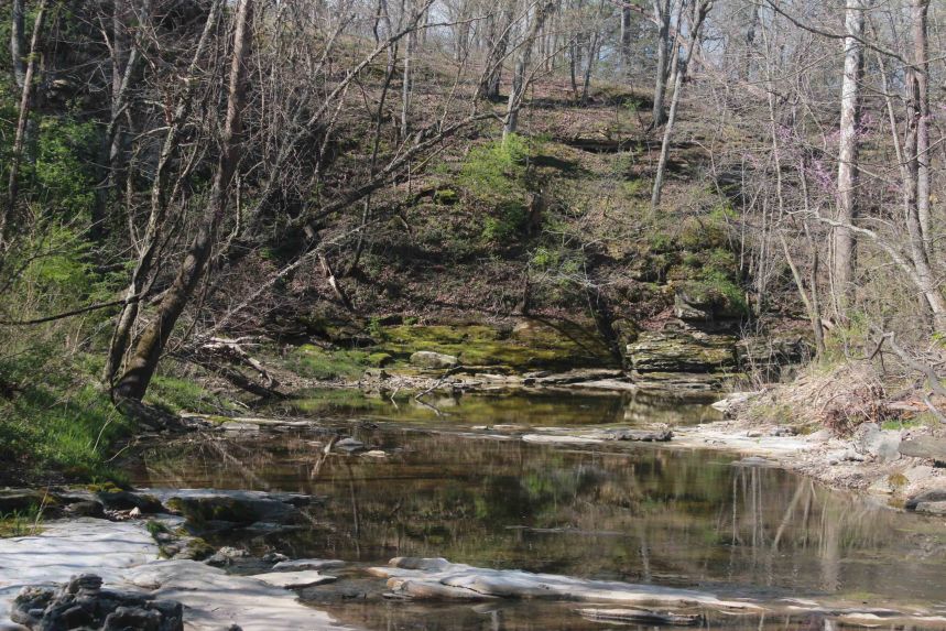 Gans Creek blog magic isle (105)