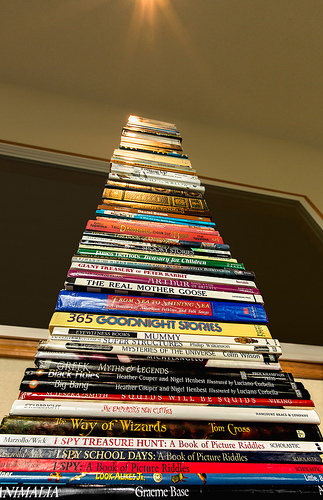 25536768825_a645b6138d