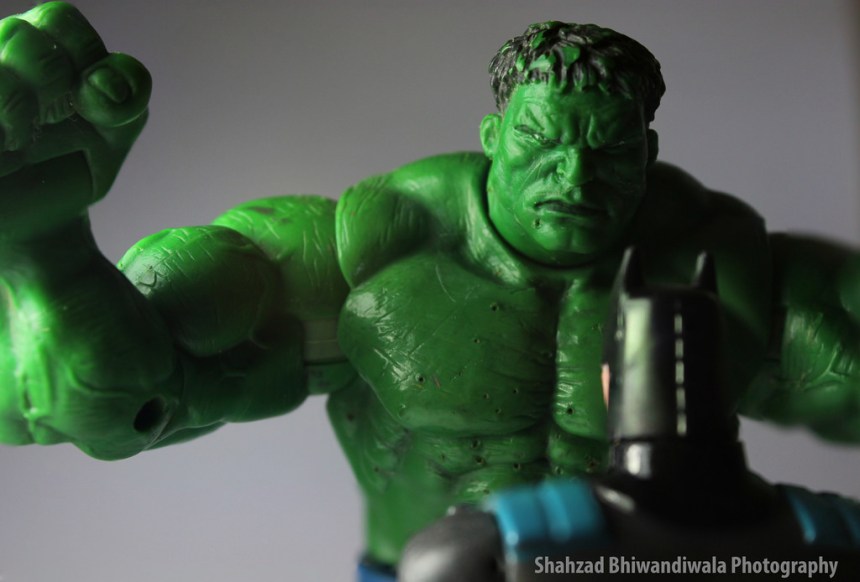 20044070990_e783c95f83_b